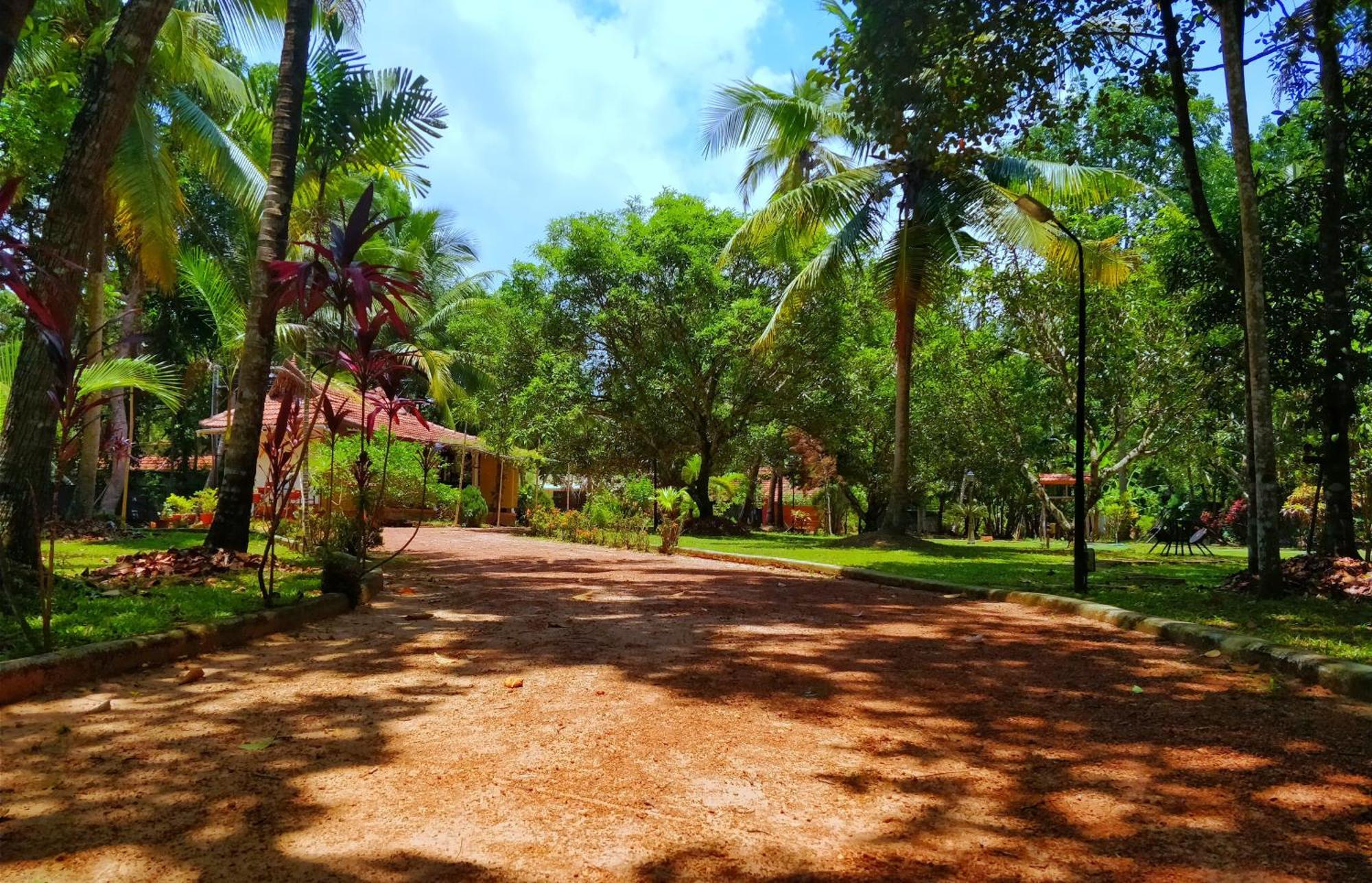 Palathra Heritage Mararikulam Buitenkant foto